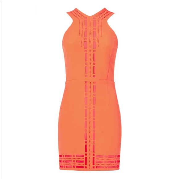 Greylin Dresses & Skirts - Greylin Coral Millany Lasercut Dress